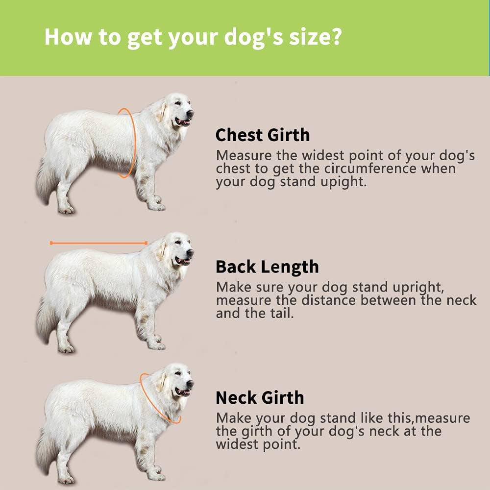 Dog Life Jacket- Preserver with Adjustable Belt, Pet Swimming Shark Jacket for Short Nose Dog (Pug,Bulldog,Poodle,Bull Terrier,Labrador) (Green, Medium)