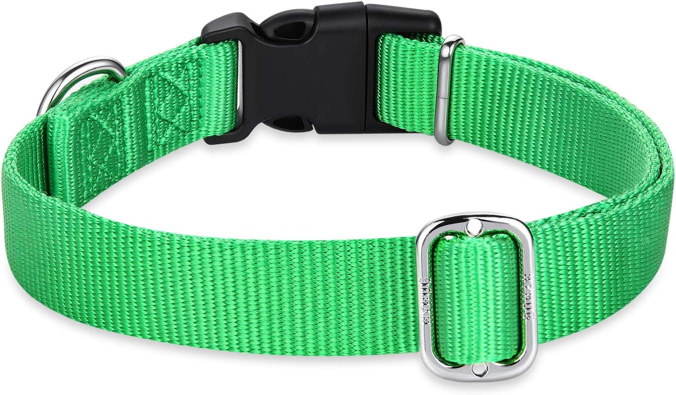 Pets Classic Regular Heavy Duty Nylon Dog Collar with Easy Attach and Removal Buckle. (Medium, Lime Green)