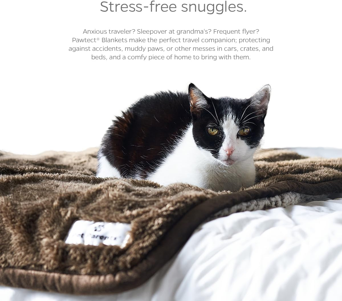 Pawtect Blanket, Premium Waterproof Cat & Dog Blanket with Wickquick & Sherpup Technology, Puppy Blanket, Waterproof Dog Blanket, Blankets for Dogs, Cat Blanket Slate 50X60