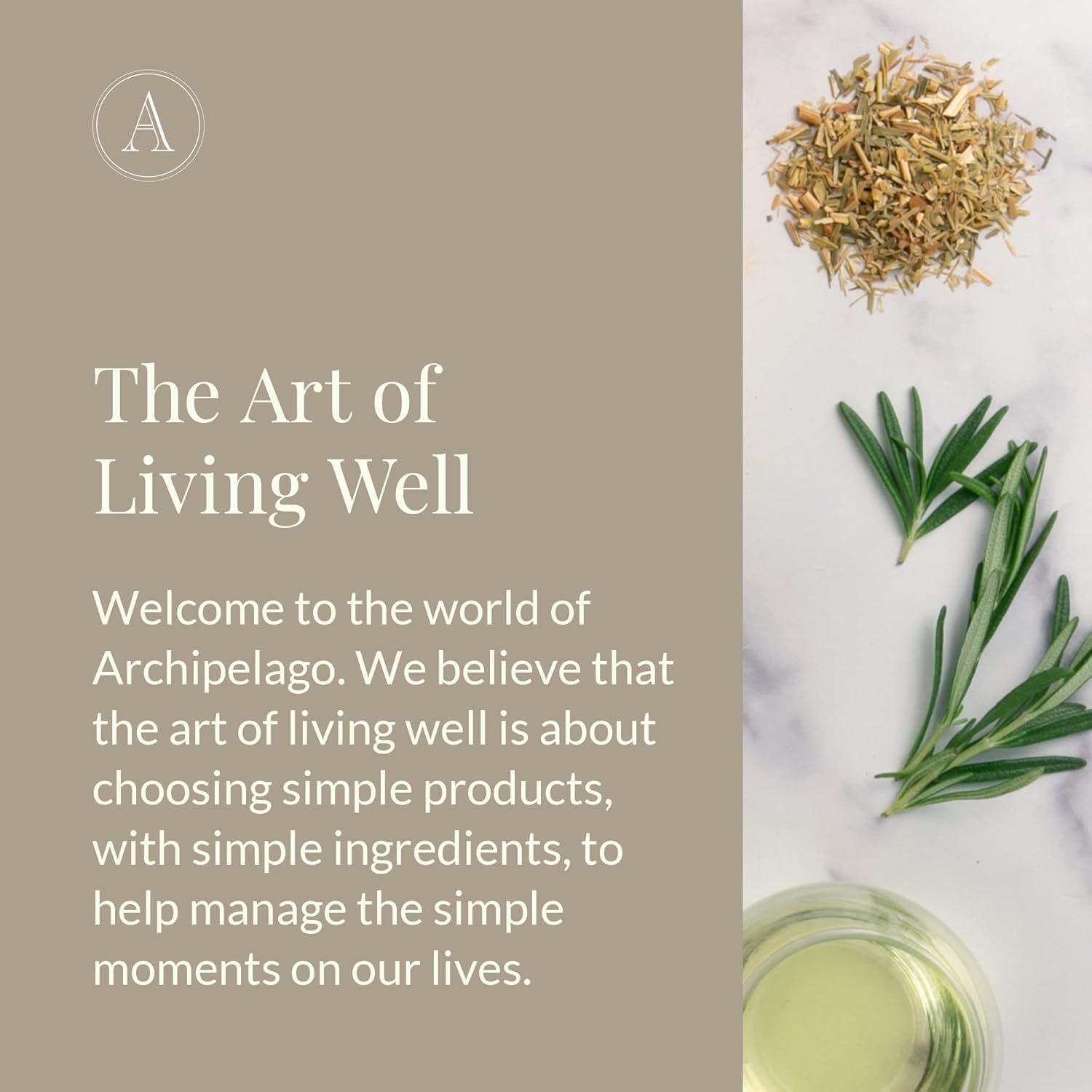 Oat Milk Lotion, Nurturing and Soothing Daily Lotion for Dry Skin, Scented Body Lotion Free from Parabens, Phthalates and Gmos (18 Oz)