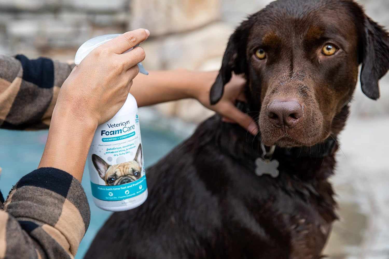 Foamcare Pet Shampoo plus Conditioner, Spray-On Shampoo for Dogs and Cats, Foams Instantly and Rinses Easier, Natural Ingredient Shampoo, 16-Ounce